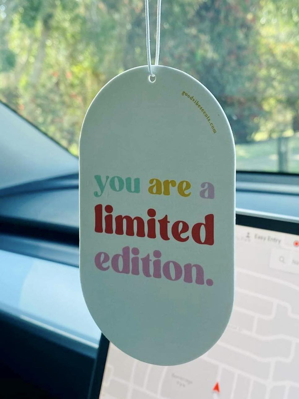 Car or Wardrobe Air Freshener - You are a Limited Edition